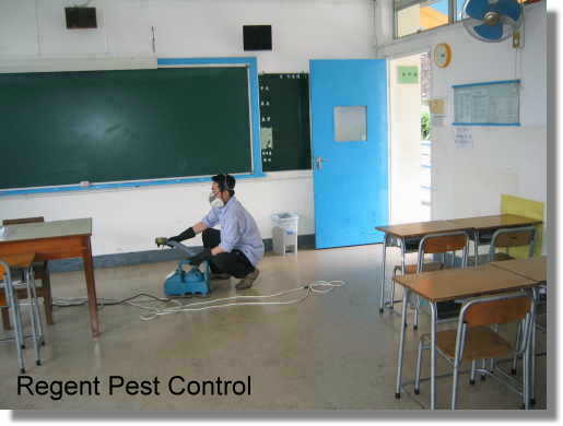 Pest Control in Schools Pest & Rat Control in Colleges 滅蟲 - 滅鼠