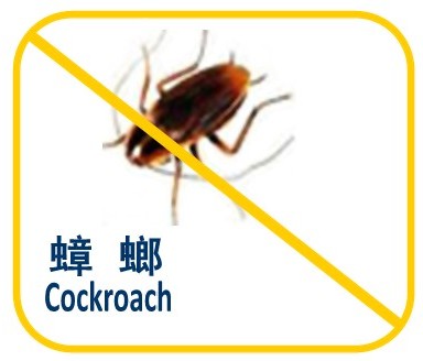 Cockroach Photo2