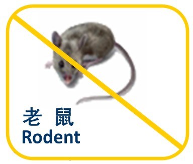 Rodent Photo1