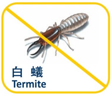 Termite Photo1